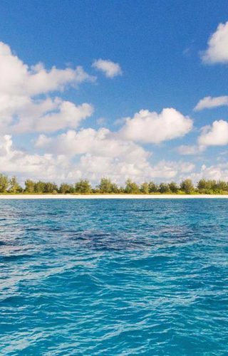 Island Bird Island Seychelles Website Island Bird Island Seychelles Website