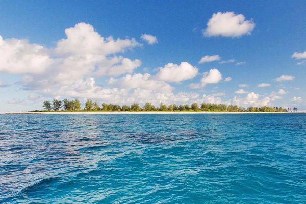 Island Bird Island Seychelles Website Island Bird Island Seychelles Website