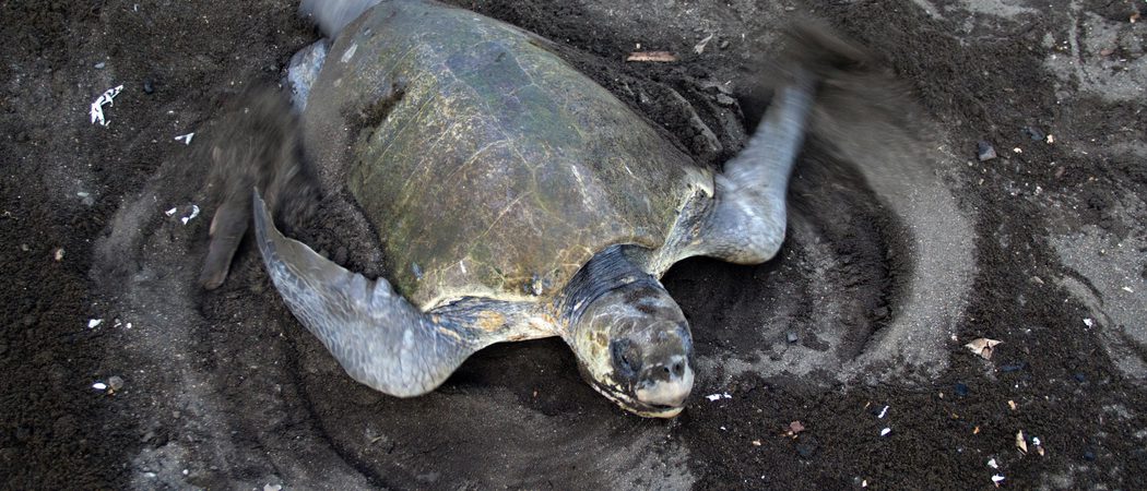 Juanma Clemente Alloza Pd Nql F Dnm Unsplash