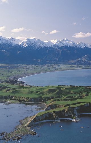 Kaikoura Coastline Whalewatch Kaikoura