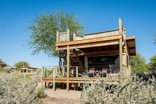 Kalahari Plains Camp Guests Tents And Rooftop Deck Kalahari Plains Camp Guests Tents And Rooftop Deck