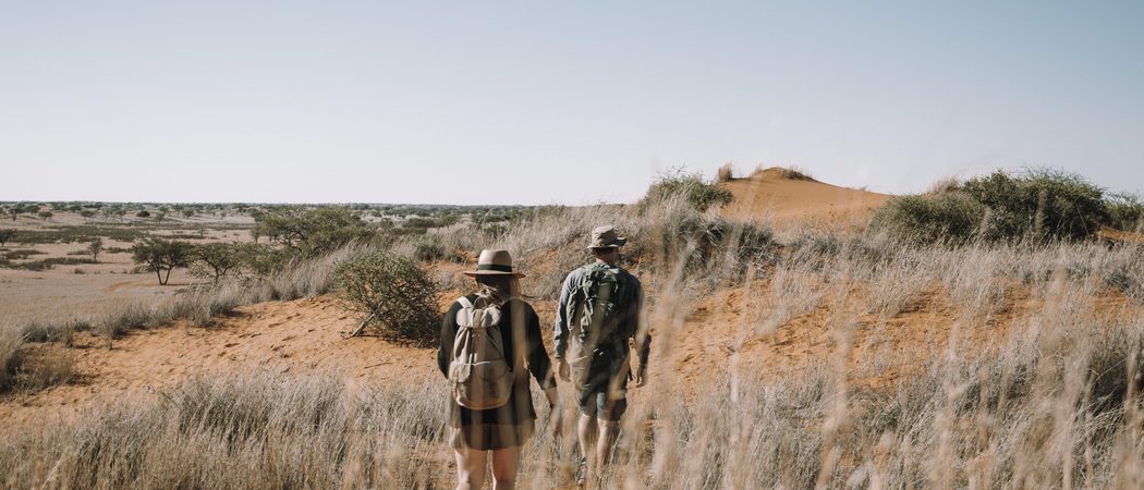 Kalahari Red Dunes Desert Walks