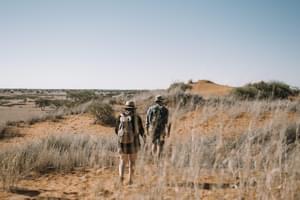 Kalahari Red Dunes Desert Walks