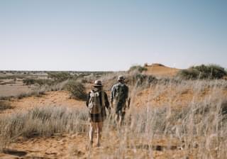 Kalahari Red Dunes Desert Walks