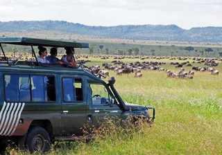 Kearsleys Tanzania Safari2