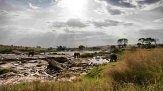 Kenya Landscape Elephant Walking In River Alex Walker Serian 1