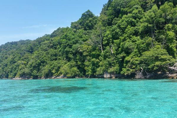 Ocean and bush Khao Lak Thailand Ocean and bush Khao Lak Thailand