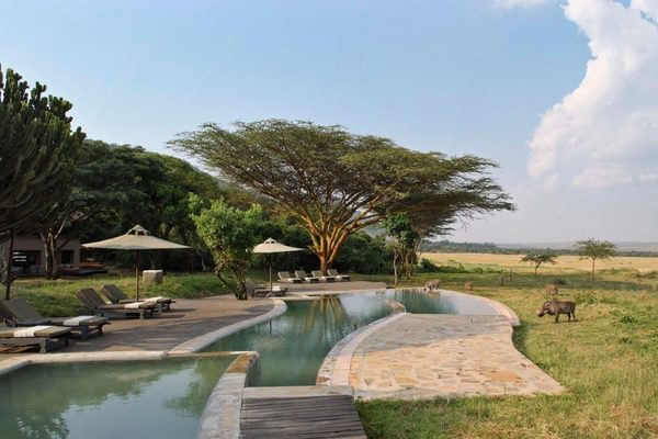 Kichwa Tembo Swimming Pool Kichwa Tembo Swimming Pool