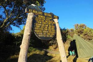 Kilimanjaro Rongai Simba Camp