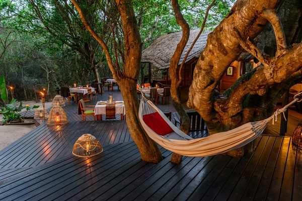 Kosi Forest Lodge Veranda Kosi Forest Lodge Veranda