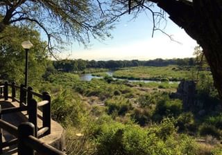 Kruger Wildlife Safaris Skukuza Desktop Kruger Wildlife Safaris Skukuza Desktop
