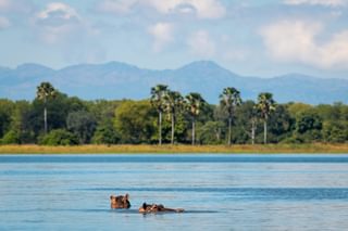 Kuthengo Liwonde River Kuthengo Liwonde River