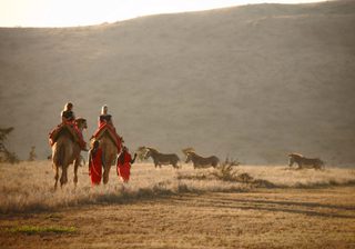 Lewa Safari Camp Camel Trekking Lewa Safari Camp Camel Trekking