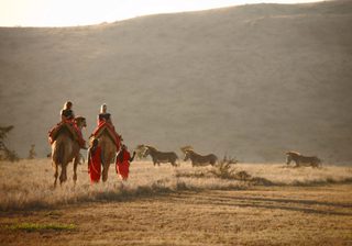 Lewa  Safari  Camp  Camel  Trekking