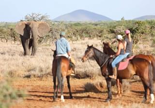 Lewa Wilderness Horseback Safari Elephant
