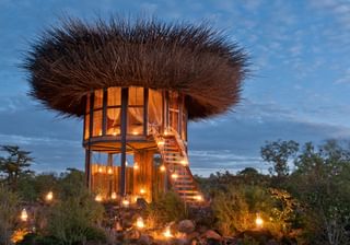 Segera Lodge Birds Nest