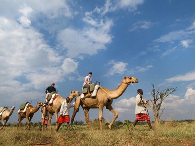 Sosian Lodge Safari Camel Riding Sosian Lodge Safari Camel Riding