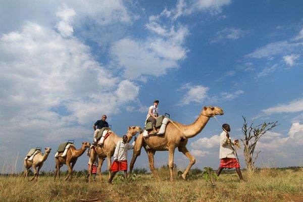 Sosian Lodge Safari Camel Riding Sosian Lodge Safari Camel Riding