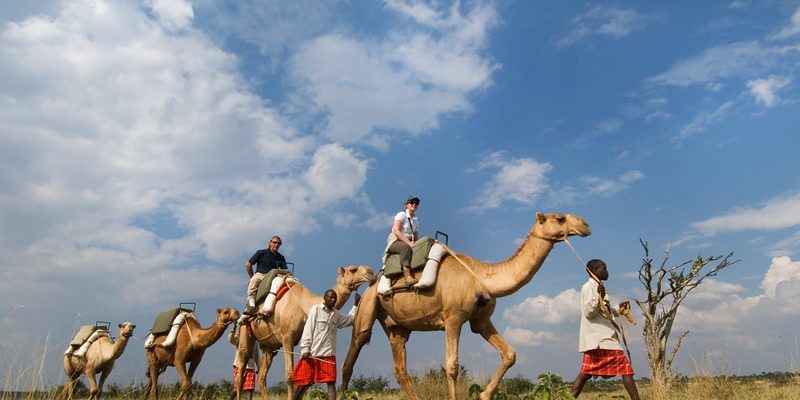 Sosian Lodge Safari Camel Riding Sosian Lodge Safari Camel Riding