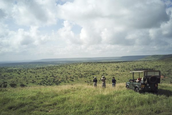 Loisaba game drive Loisaba game drive