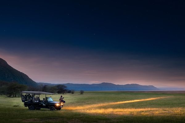 Lake Manyara Night Drive Lake Manyara Night Drive