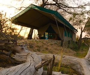 Manze Camp Tent