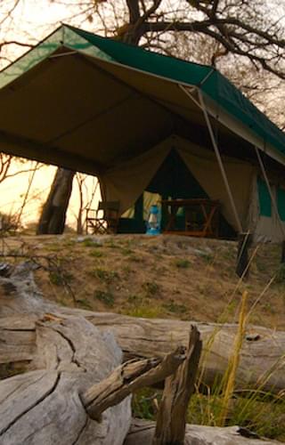 Manze Camp Tent