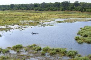 Linyanti Bush Camp Mokoro