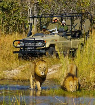 Lions Of The Delta 01 Lions Of The Delta 01