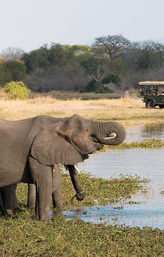 Mvuu lodge Liwonde