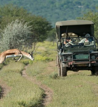 Ongava Camp Bsuh Drive Ongava Camp Bsuh Drive