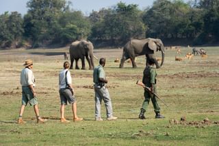 Luangwa Bush Camping Walking Safari Luangwa Bush Camping Walking Safari