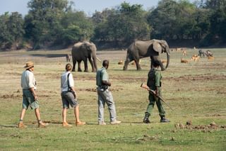 Luangwa Bush Camping Walking Safari