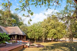 Luangwa  River  Camp Swimming Pool