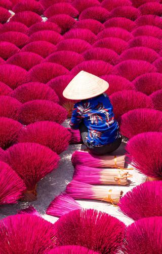 Vietnamese woman drying incense sticks Vietnam