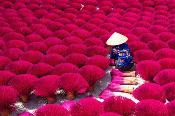 Vietnamese woman drying incense sticks Vietnam Vietnamese woman drying incense sticks Vietnam