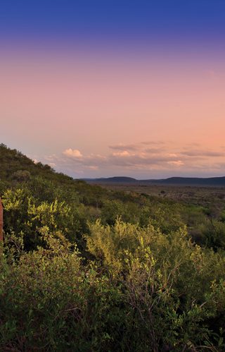 Madikwe Dithaba Deck View Madikwe Dithaba Deck View
