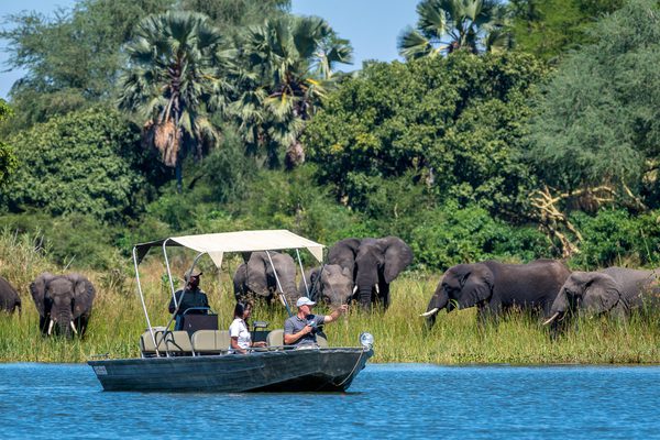 Boat Safaris Boat Safaris