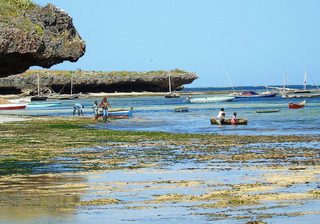 Malindi Malindi