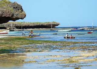 Malindi Malindi