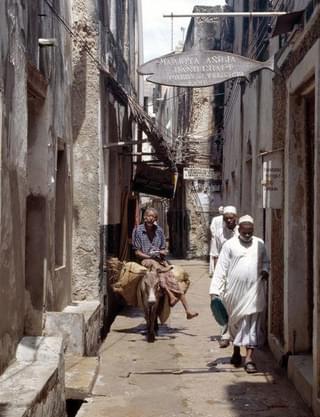 Man Rides Donkey Narrow Streets Lamu Town 1644099
