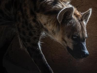 Mana5280 Rtlp Ywcm2 D8 Unsplash Mana5280 Rtlp Ywcm2 D8 Unsplash