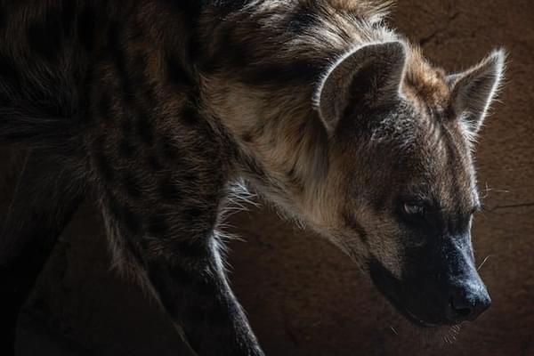 Mana5280 Rtlp Ywcm2 D8 Unsplash Mana5280 Rtlp Ywcm2 D8 Unsplash