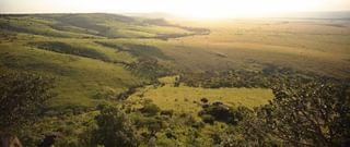 Masai Mara Landscape Masai Mara Landscape