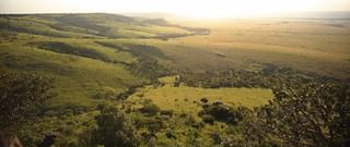 Masai Mara Landscape