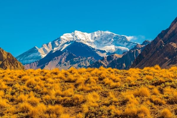 Mendoza Argentina Mendoza Argentina