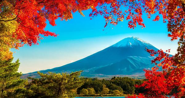 Fuji san autumn leaves framing Mt Fuji Japan no white border