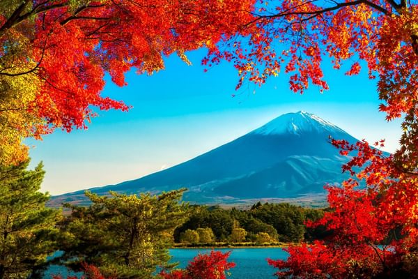Fuji san autumn leaves framing Mt Fuji Japan no white border Fuji san autumn leaves framing Mt Fuji Japan no white border