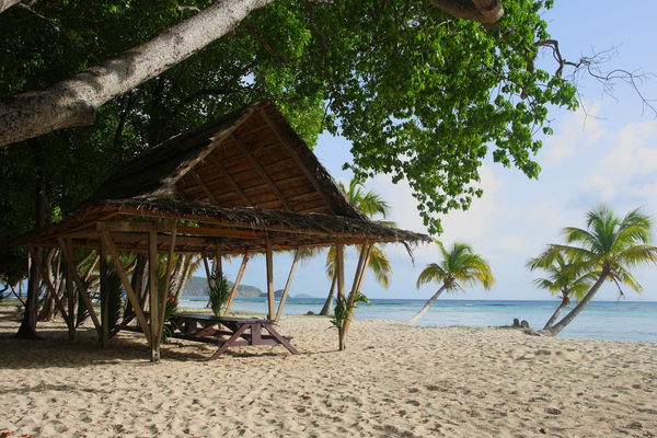 Mustique Island Galliceaux Bay St Vincent and The Grenadines canva pro Mustique Island Galliceaux Bay St Vincent and The Grenadines canva pro