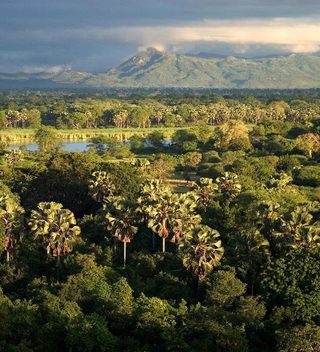 Mvuu Lodge Scenery